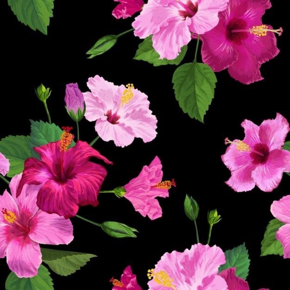 🌺Live Listing🌺